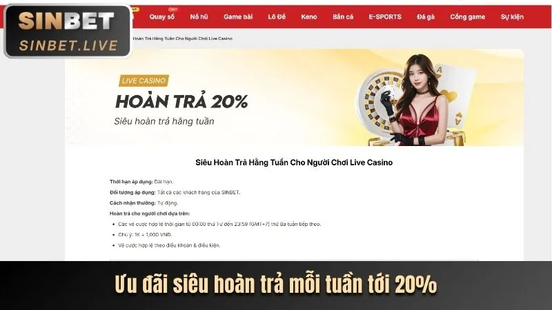 Hình ảnh chương trình VIP và phần thưởng độc quyền cho thành viên thân thiết